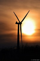 /album/photo-gallery-silhouette/%e3%82%b7%e3%83%ab%e3%82%a8%e3%83%83%e3%83%88%e3%80%80%e9%a2%a8%e8%bb%8a2-jpg/